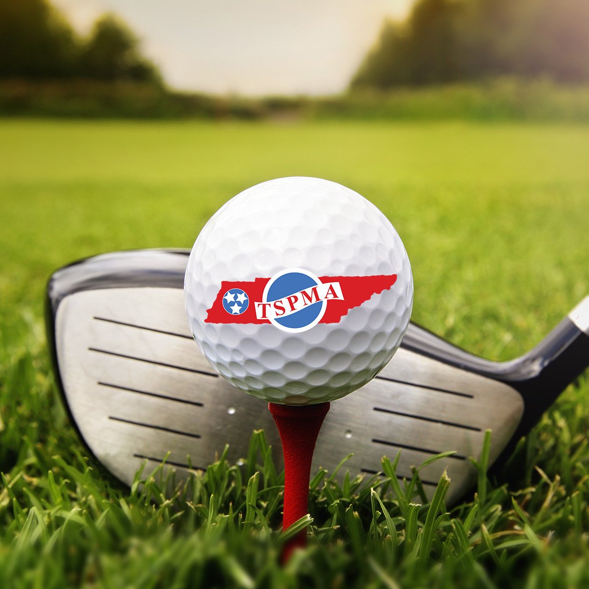 golf club and ball