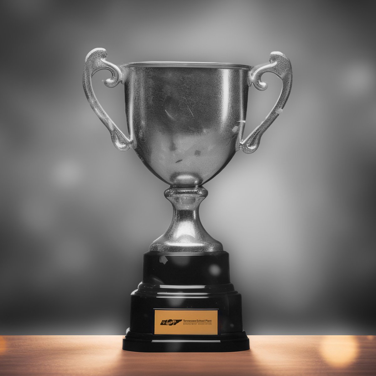 Silver Trophy